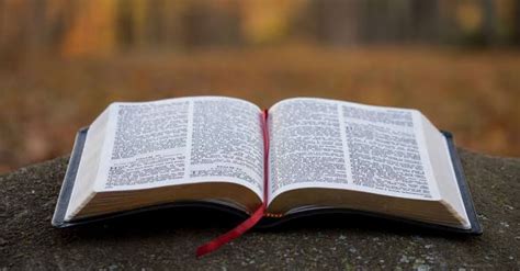 10 things the bible says about gambling .